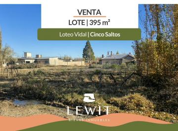 Terreno · 395m² · Venta Terreno en Loteo Vidal / Cinco Saltos / 395 m² en Esquina