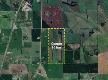 Campo · 800000m² · Campo en Venta Mercedes