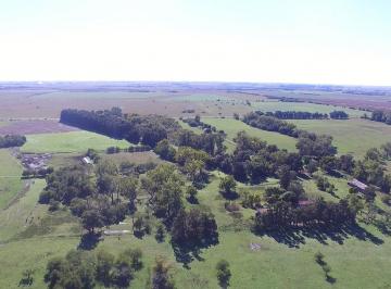Campo · 3000000ha · Campo en Venta en Bme Bavio Gral Mansilla