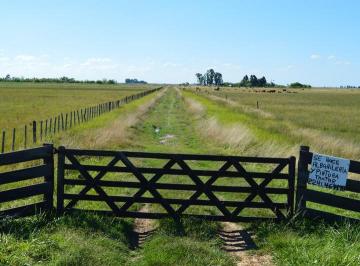 Campo · 710000m² · 3 Ambientes · Campo en Venta en Magdalena