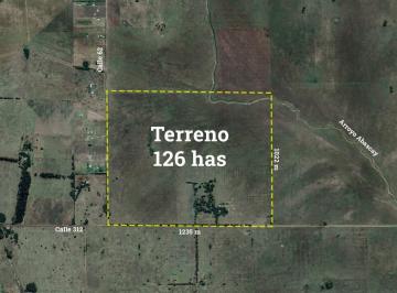 Campo · 1260000ha · Campo en Venta en La Plata