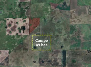 Campo · 490000ha · Campo en Venta en Gral. Belgrano