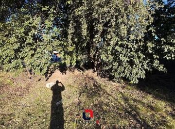 Terreno · 400m² · Lote en Villa Catalina