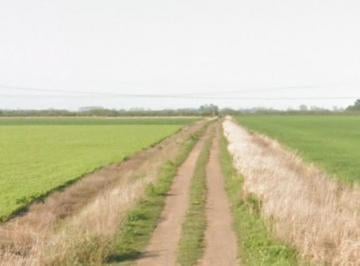 Campo · 100000ha · Campo en Fighiera