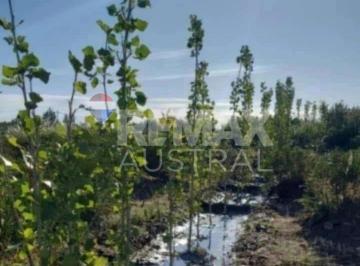 Terreno · 413m² · Lote Forestado Bella Vista Oeste