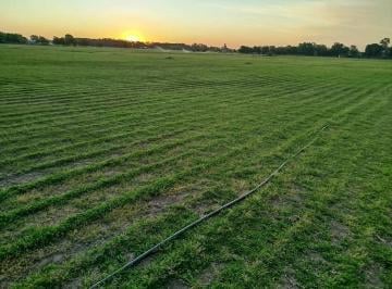 Campo · 150000m² · 4 Ambientes · Impresionante Campo de 15 Ha en Venta en Baradero