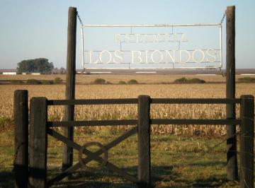 Campo · 16400000ha · Campo en Venta en Gualeguaychu