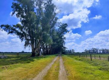 CNC-CNC-378_2 · Venta Campo en Rosario