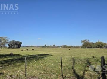 Campo · 40000ha · Chacra Alomada en Capilla del Señor