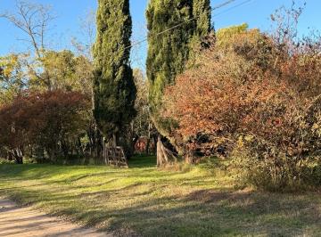 Terreno · 4840m² · 4 Ambientes · Si Soñás con Vivir en El Campo, Este Puede Ser Tu Lugar! Zapiola
