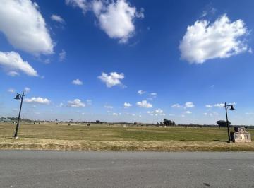 Terreno · 1000m² · Lote Gold en Venta - Haras del Sur V