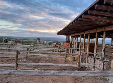 Terreno , Luján de Cuyo · En Venta Exclusivo Terreno Altos de La Crucesita