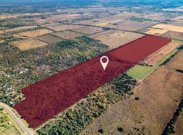 Foto · Campo 50 Ha con Frente a Ruta 5 - Villa Ciudad Parque