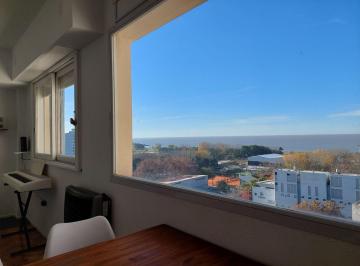 Departamento · 38m² · 2 Ambientes · Alquiler 2 Ambientes Vista Al Rio Vicente Lopez