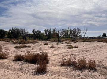 Terreno , Guaymallén · Terreno de 2 Ha en Venta en Guaymallén