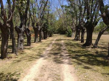 Terreno · 40000m² · Terreno Para Loteo en Venta en Derqui, Pilar