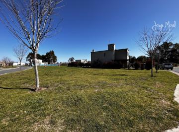 Foto Principal · Lote Interno # - Santo Tomás - 499 m² #id 20839