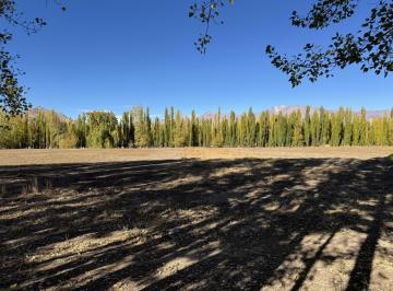 Terreno · 137100m² · Lote en Venta en Uspallata Para Desarrollo Turístico con 47 Lotes Aprobados