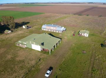 Campo · 1200m² · 8 Ambientes · Campo con Bodega Orgánica Certificada en Espartillar de 41 Ha Provincia de Buenos Aires