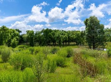 Terreno · 2000m² · Venta de Terreno en Chacras del Pinar, Punta Ballena