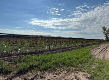 Terreno · 500000m² · Venta Finca en Santa Rosa con Pozo