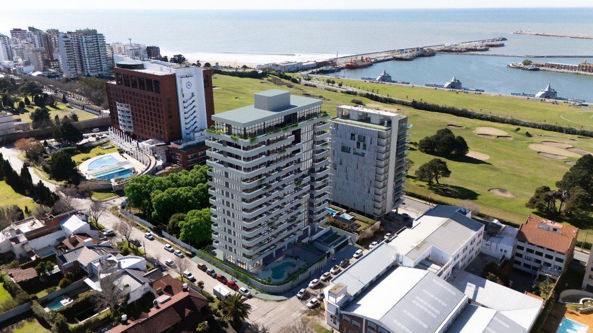 Larrea 200