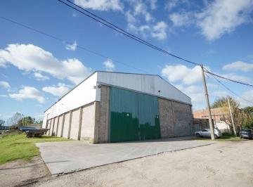 Bodega-Galpón · 800m² · Venta Galpón Apto Logística E Industria Santa Rita