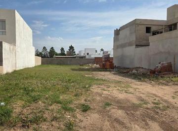 Terreno · 600ha · Lote en Venta en Barrio San Guillermo Av Ohhiggins