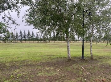 Terreno , Brandsen · En Venta Lote en Country Haras del Sur III - 1066 m². Acepto Permuta
