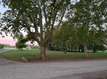 Terreno · 6700m² · Lotes en Venta 1b31 & 1b38 Estancia Villa María - Los Álamos
