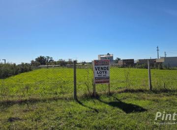 Terreno · 667m² · Extenso Lote Sobre Calle Constitución. 15 m de Frente. San Jose.