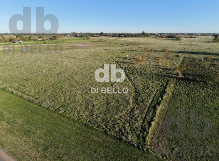 Terreno · 28917m²