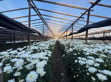 Campo · 10ha · Campo en Venta en Abasto Sobre Ruta 36