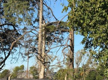 Terreno , La Plata · Fraccion, Lote, Terreno a La Venta Sobre Avs 38 y 149