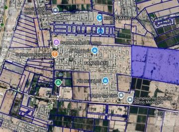Campo · 570000ha · Gran Terreno de 57 Ha en Médano de Oro - Abraham Tapia y Agustin Gomez
