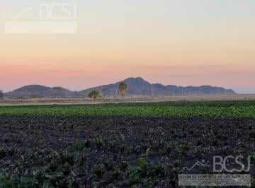 Campo · 330000ha · 5 Ambientes · 3 Cocheras · Finca en Rawson Calle 14 y America