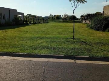 foto-1 · Terreno en Venta en San Ramiro Pilar del Este