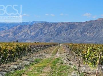 Campo · 500ha · Finca La Germania - Distrito San Isidro