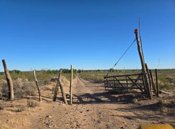 Campo · 70ha · Venta 12,95 Hectáreas en Plottier.