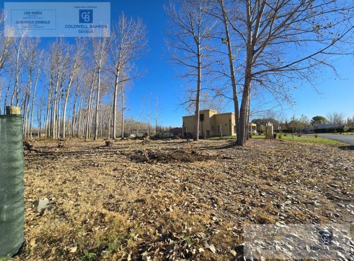 Terreno · 1000m²