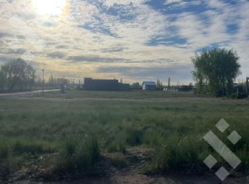 Terreno · Terreno en Venta Plottier Zona Rural