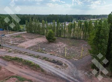 Terreno · 500m² · Venta Lote 500 m² - La Consuelo - Centenario
