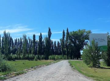 Terreno · 360m² · Terreno - Centenario