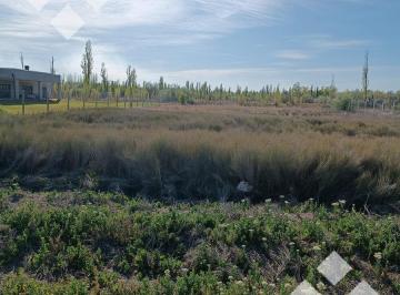 Terreno · 3232m² · Venta Terreno Quintas del Sauzalito, Cipolletti Rio Negro
