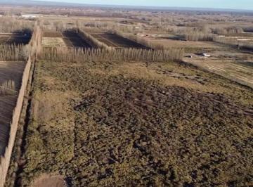 Terreno · 100000ha · Venta 10 Ha Plottier Neuquen Ideal Para Produccion