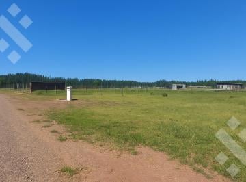 Terreno · 1100m² · Lote de 1100 m² B° La Victoriana, Plottier