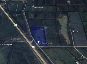 Bodega-Galpón · 310m² · 2 Dormitorios · Venta Casa Quinta