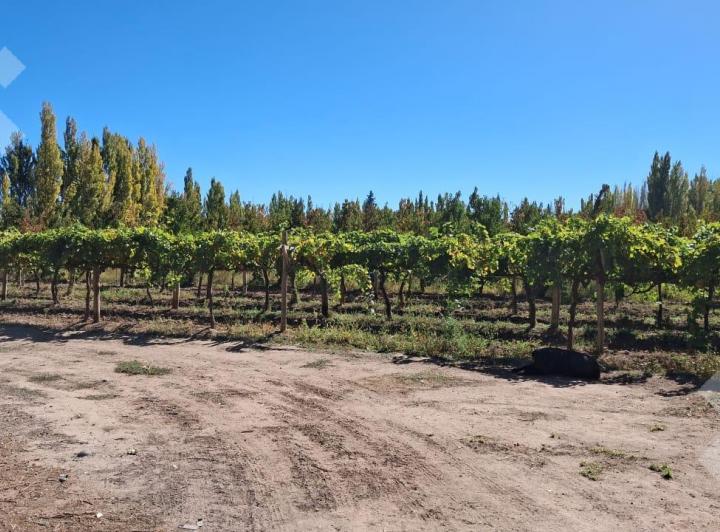 Terreno · 300m²