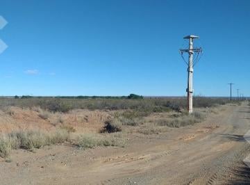 Campo · 250000ha · Campo de 25 Ha en Venta en Senillosa. a 500 m de La R22. Usd100.000. con Escritura.