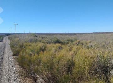 Campo · 250000ha · Campo de 25 Ha en Venta en Senillosa. a 500 m de La R22. Usd100.000. con Escritura.